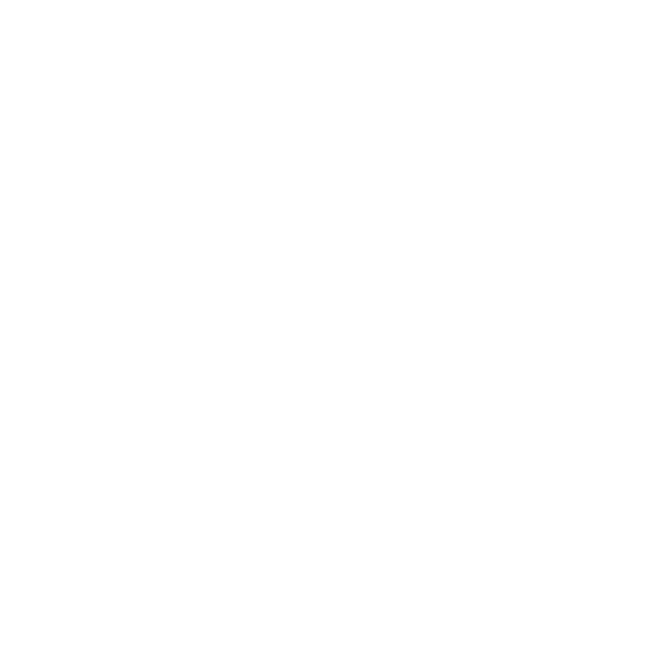 Level Legal Services