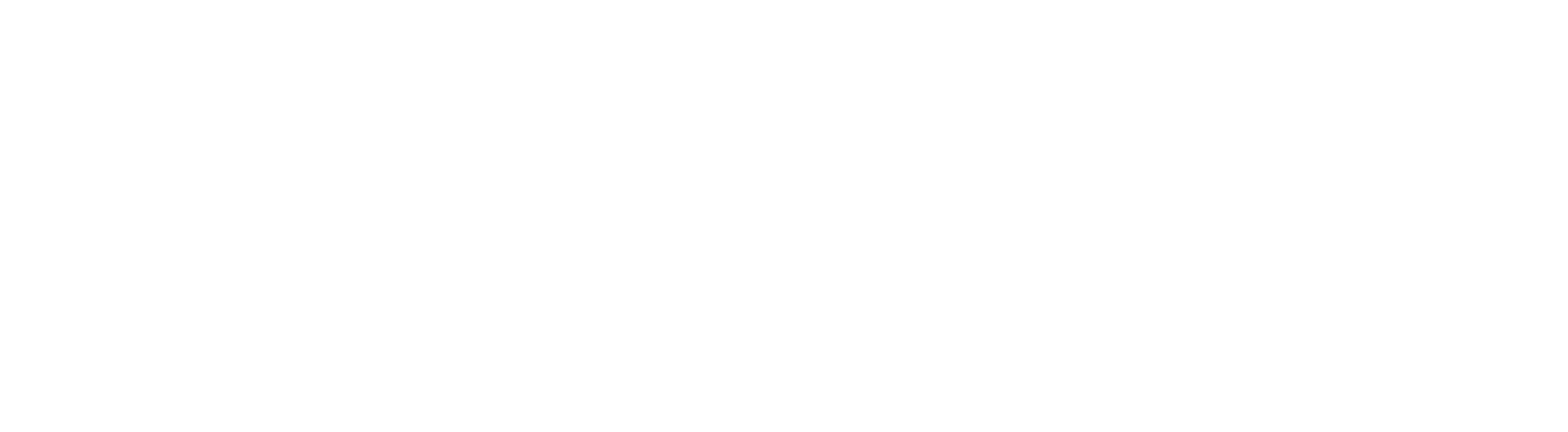 Nikolskaya Consulting