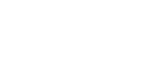 BGP Litigation